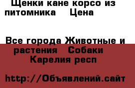 Щенки кане корсо из  питомника! › Цена ­ 65 000 - Все города Животные и растения » Собаки   . Карелия респ.